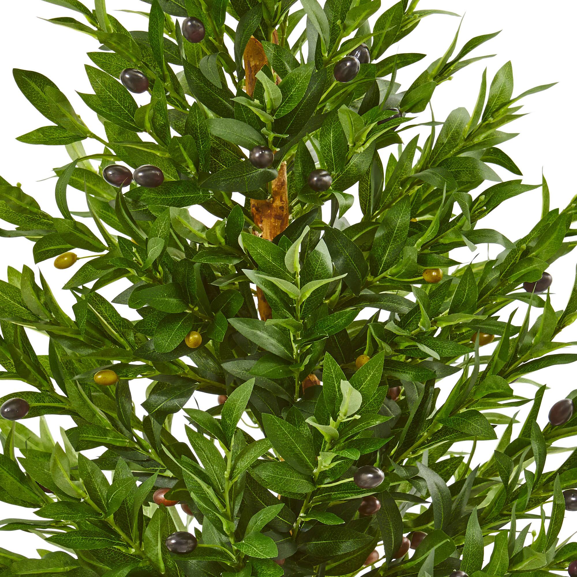 3ft. UV Resistant Olive Cone Topiary Tree in Terra Cotta Planter